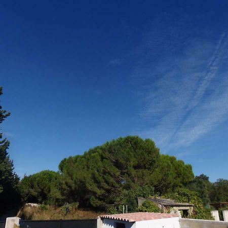 Appartamento Joli Mazet entre Montpellier et Nimes Aimargues Esterno foto