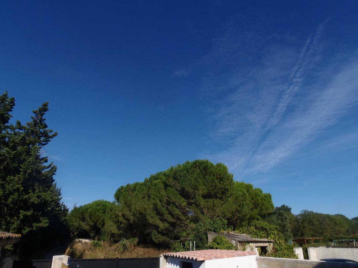 Appartamento Joli Mazet entre Montpellier et Nimes Aimargues Esterno foto